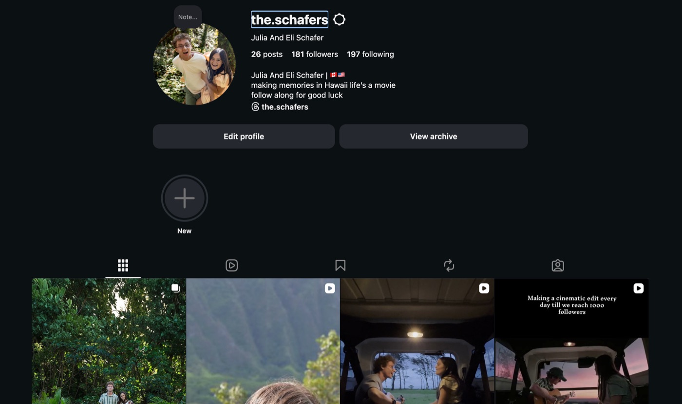 the.schafers Instagram profile showing 26 posts and the Reels grid
